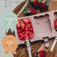 We Might Be Tiny Silicone Popsicle Mould With Lid & Sticks - Dusty Rose